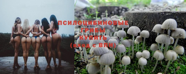 первитин Зеленодольск