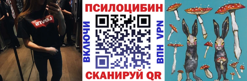 Купить закладки  Полярные Зори  Галлюциногенные грибы Cubensis 